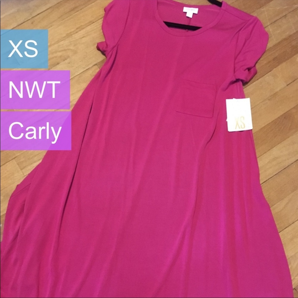 NWT LuLaRoe “Carley” XS